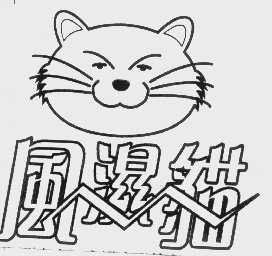 风湿猫