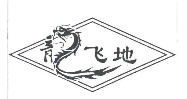 龙飞地