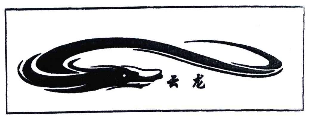 云龙