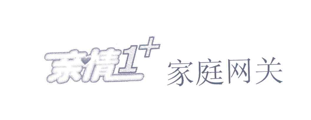 亲情家庭网关;1+