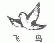 飞鸟;FLYING BIRD