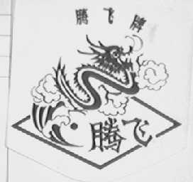 腾飞
