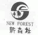 新森林;NEW FOREST