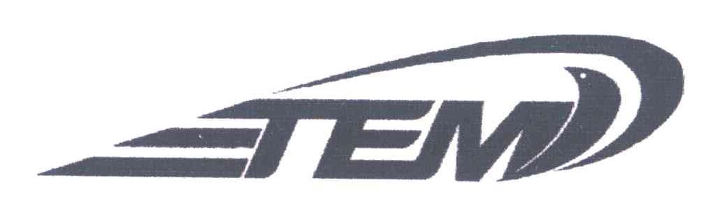 TEM