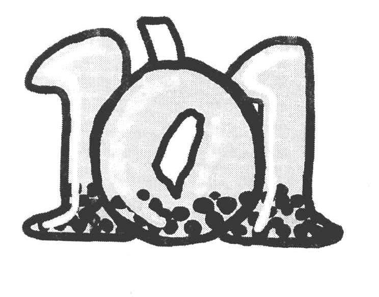101