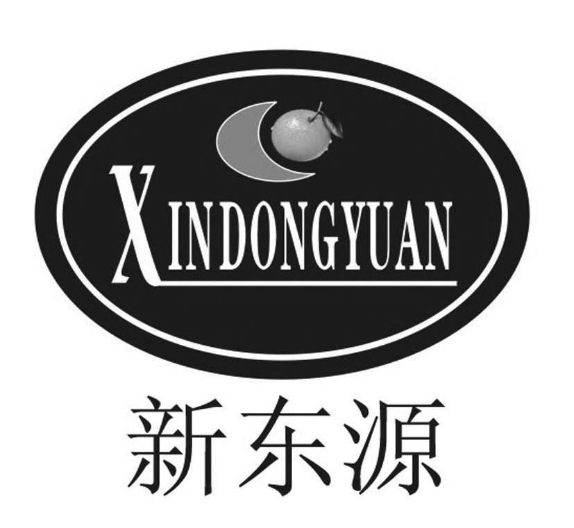 新东源