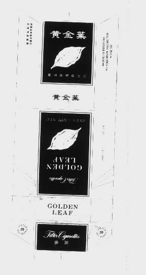 黄金叶   GOLD LEAF