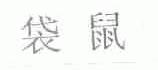 袋鼠