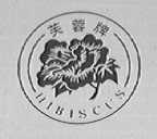 芙蓉