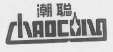 潮聪