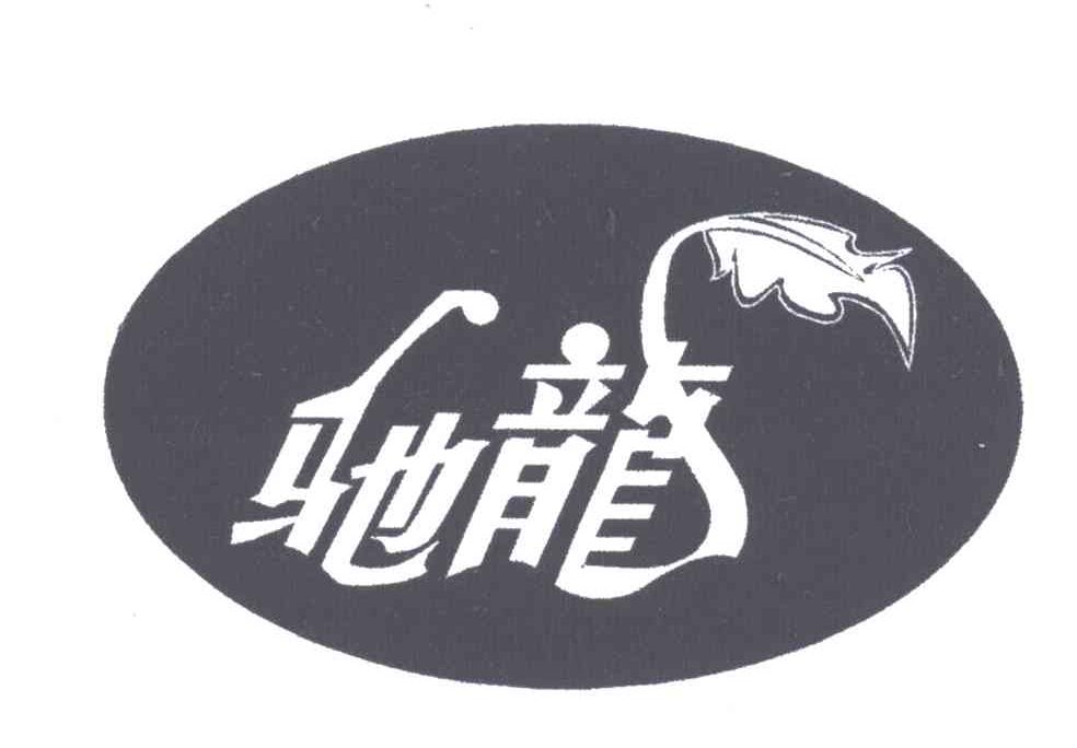 驰龙