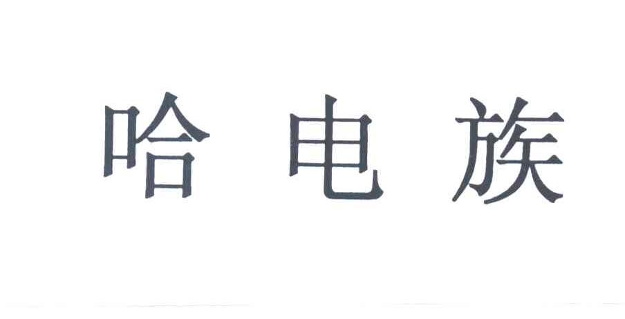 哈电族