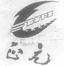 正元;ZYPI