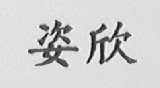 姿欣