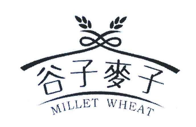 谷子麦子;MILLET WHEAT