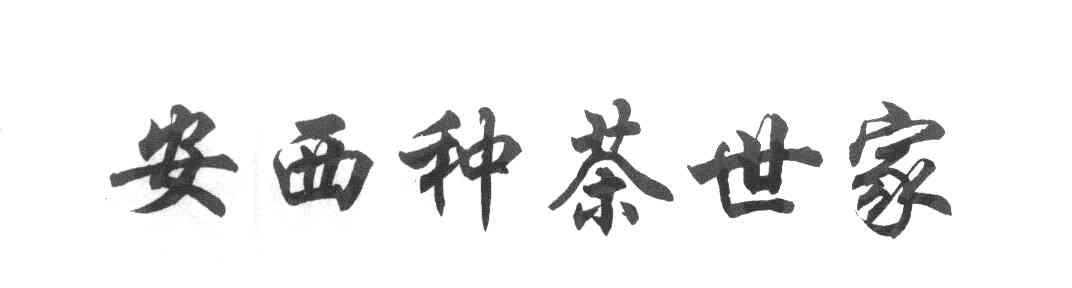 安西种茶世家