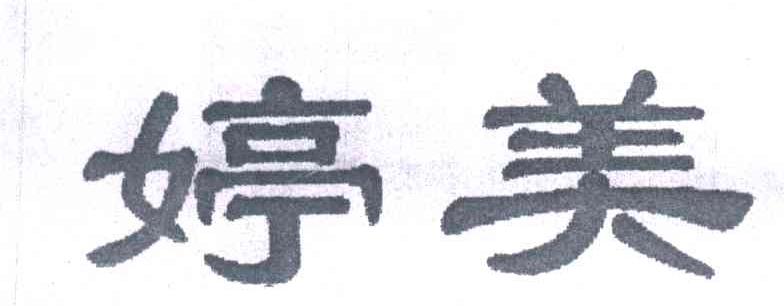 婷美