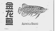 金龙鱼  ARAWANA