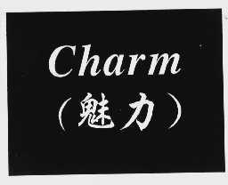 魅力   CHARM