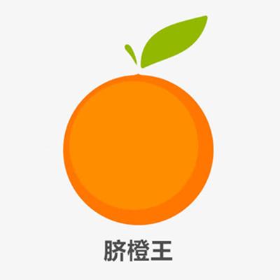 脐橙王