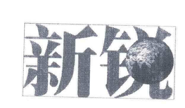 新锐