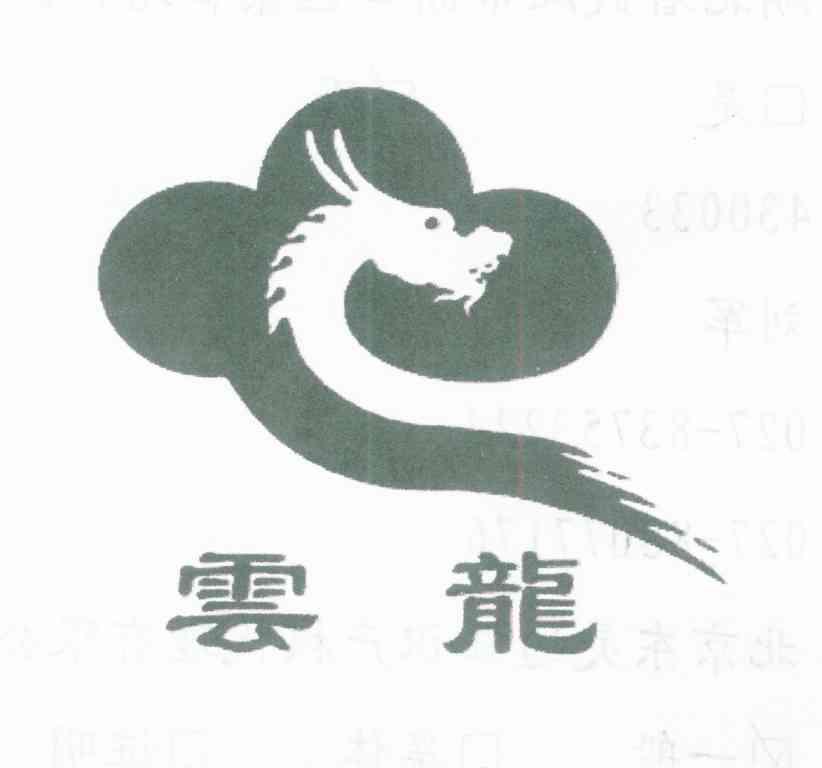 云龙