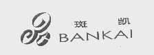 斑凯