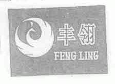 丰翎