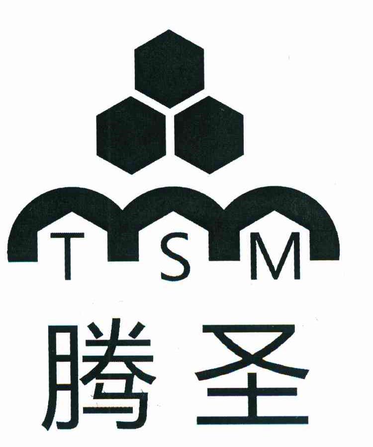 腾圣 TSM