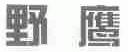 野鹰