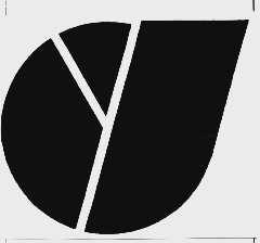 DY