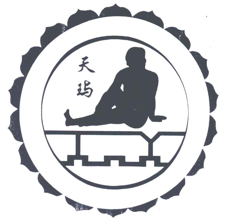 天玙