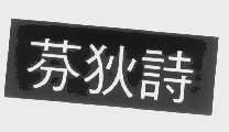 芬狄诗