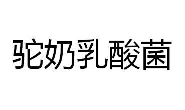 驼奶乳酸菌