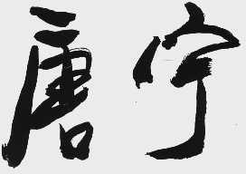 唐宁