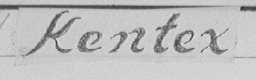 KENTEX