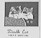 双猫    DOUBLE CAT