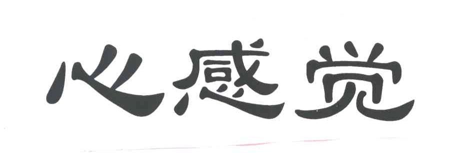 心感觉