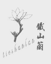 铁山兰