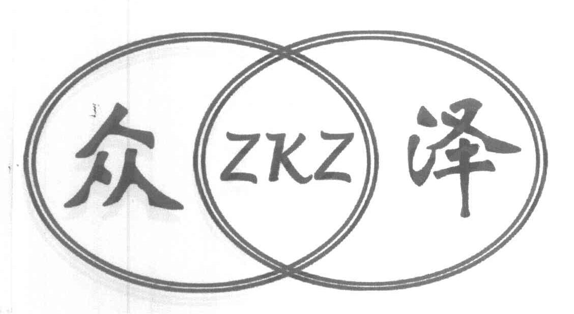 众泽 ZKZ