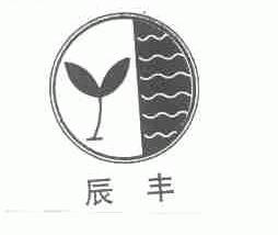 辰丰
