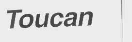 TOUCAN