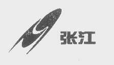 张江