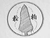 桧柏