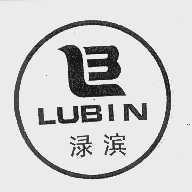 渌滨