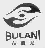 布朗尼   BULANI