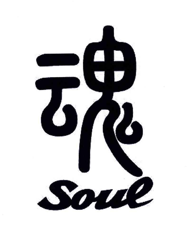 魂;SOUL