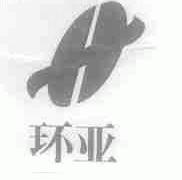 环亚
