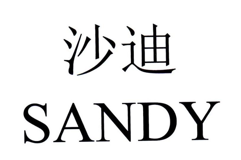 沙迪 SANDY