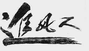 追风人